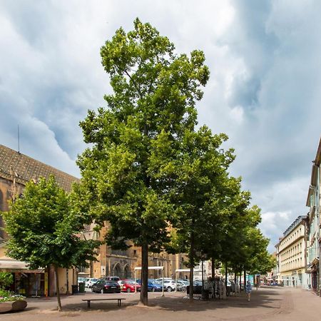 Apartament Le Griffon Colmar Zewnętrze zdjęcie